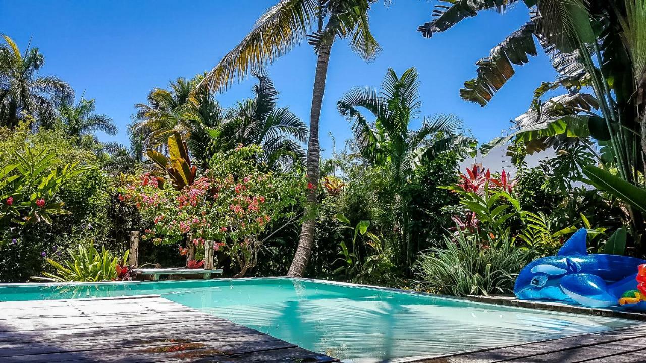 Villa Strelitzia Cabarete Exteriör bild